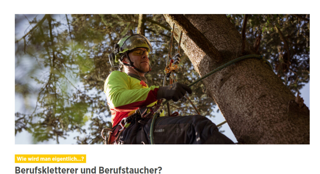 Ein Berufskletterer auf einem BAum
